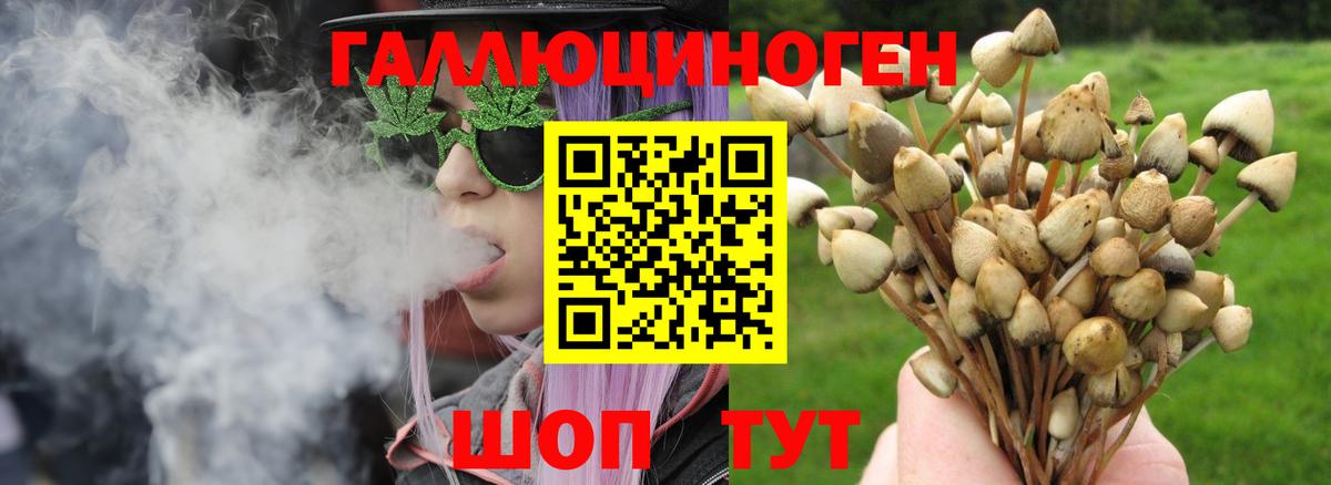 Чебоксары  Галлюциногенные грибы Magic Shrooms  где продают   Псилоцибиновые грибы мицелий  Вход с VPN 